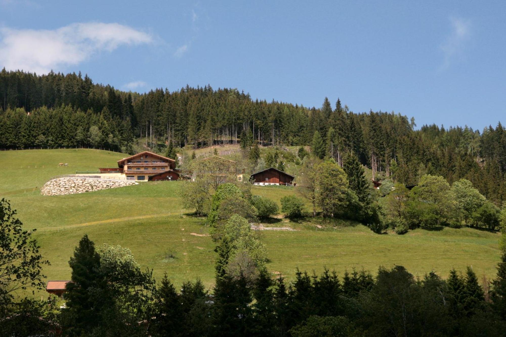 Der Wildbachhof - Contactless Check In Apartment Zell am See Exterior foto